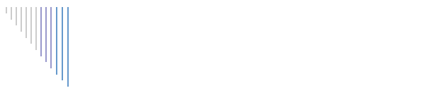 Our Team